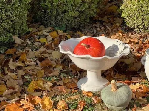 Coppa  " Medici uva " , ceramiche artigianali Virginia
